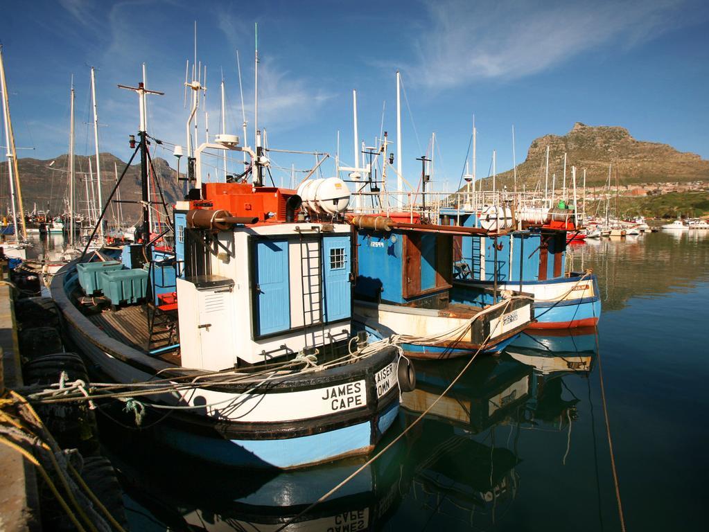 Art Gallery Guest House - Thandekayo Hout Bay Exteriör bild